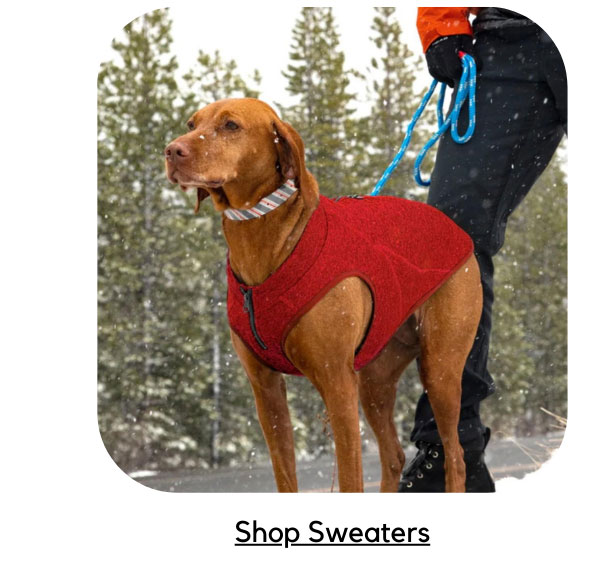 Shop Sweaters