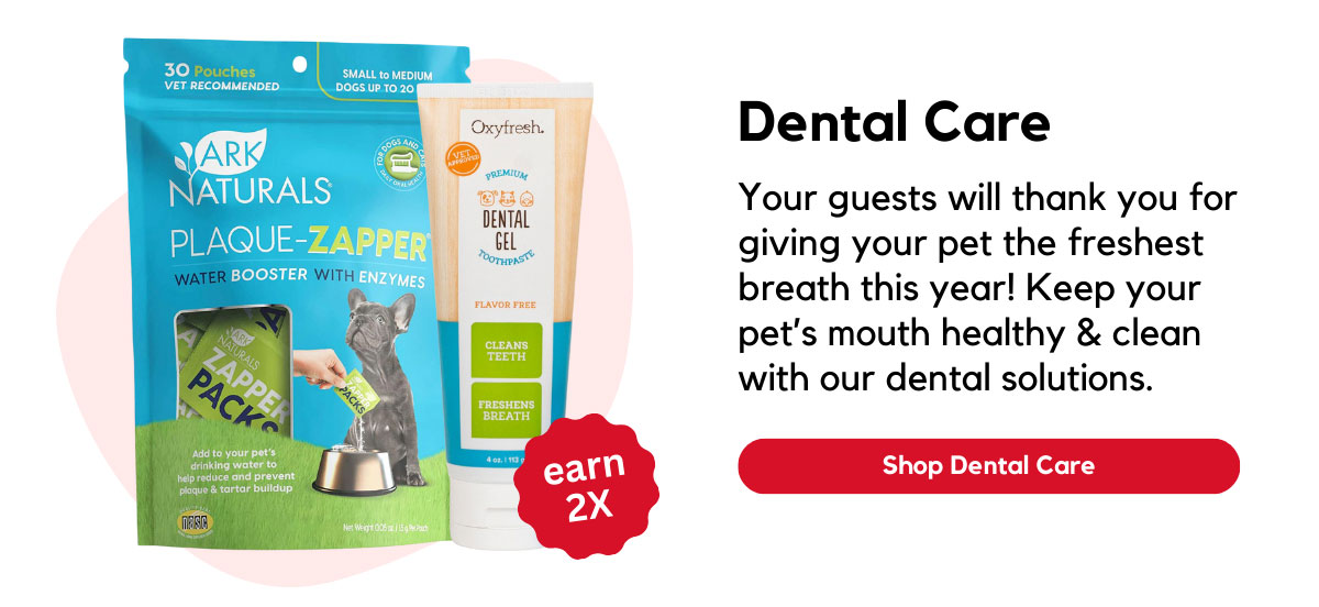Dental Care