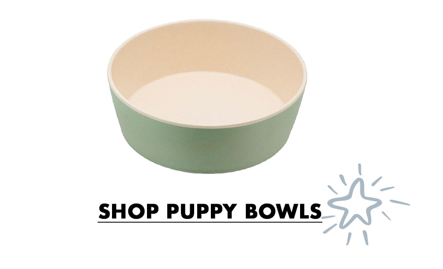 Shop Puppy Bowls