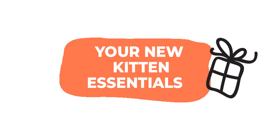 Your new kitten essentials