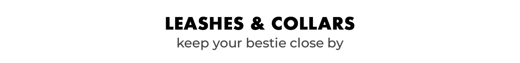 Shop Leashes & Collars