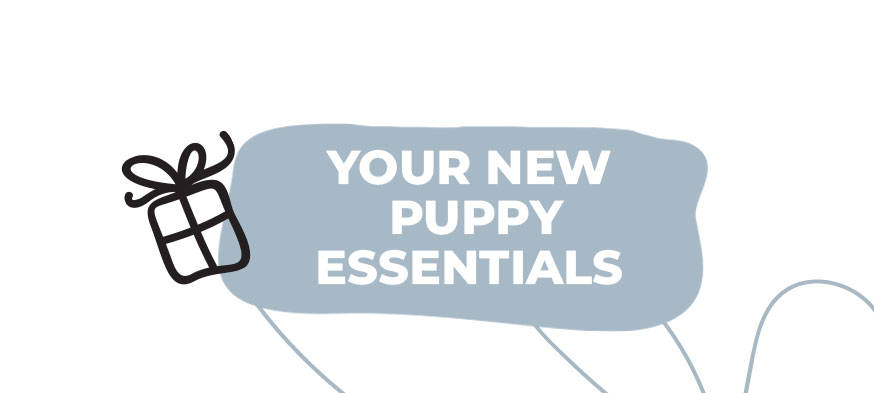 Your new puppy essentials