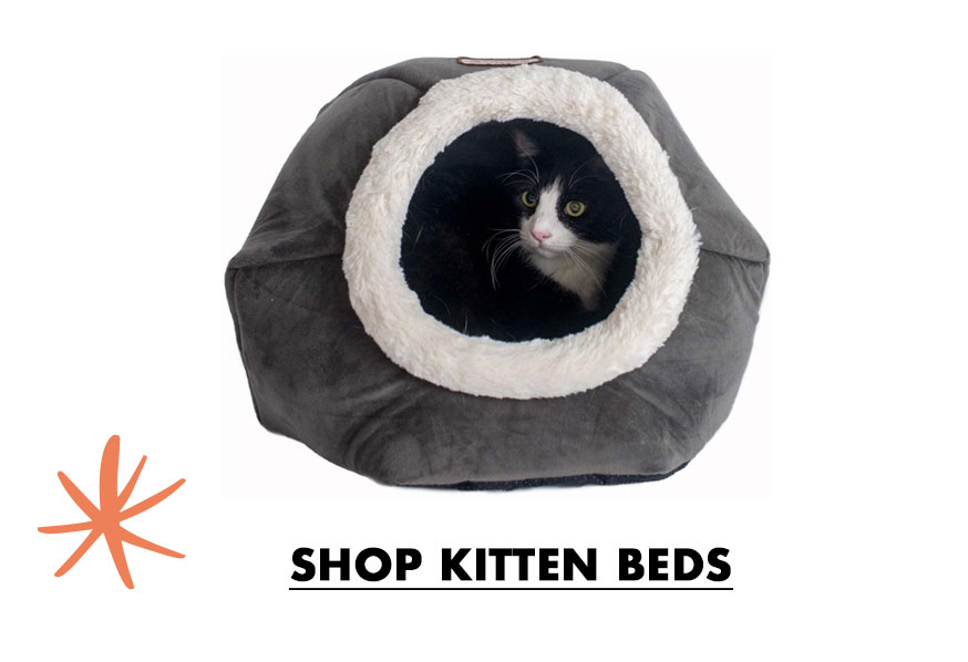 Shop Kitten Beds
