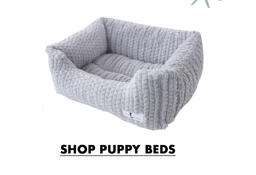 Shop Puppy Beds