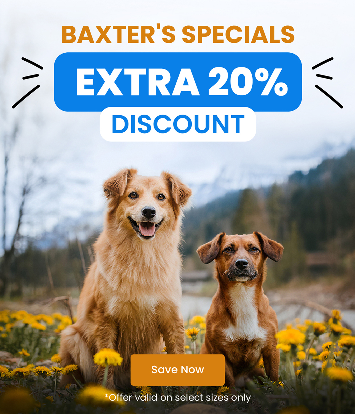 Baxter's Specials