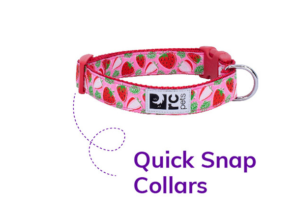 Quick Snap Collars