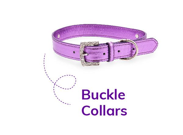 Buckle Collars