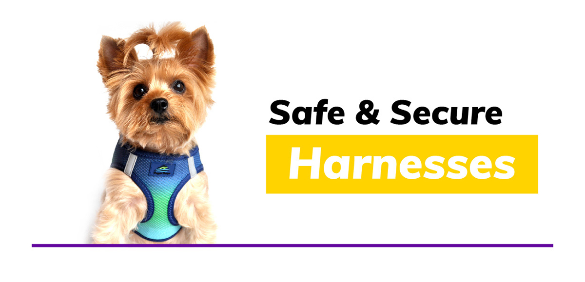 Safe & Secure Harnesses