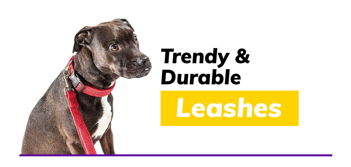 Trendy & Durable Leashes