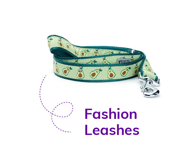 Fashion Leashes