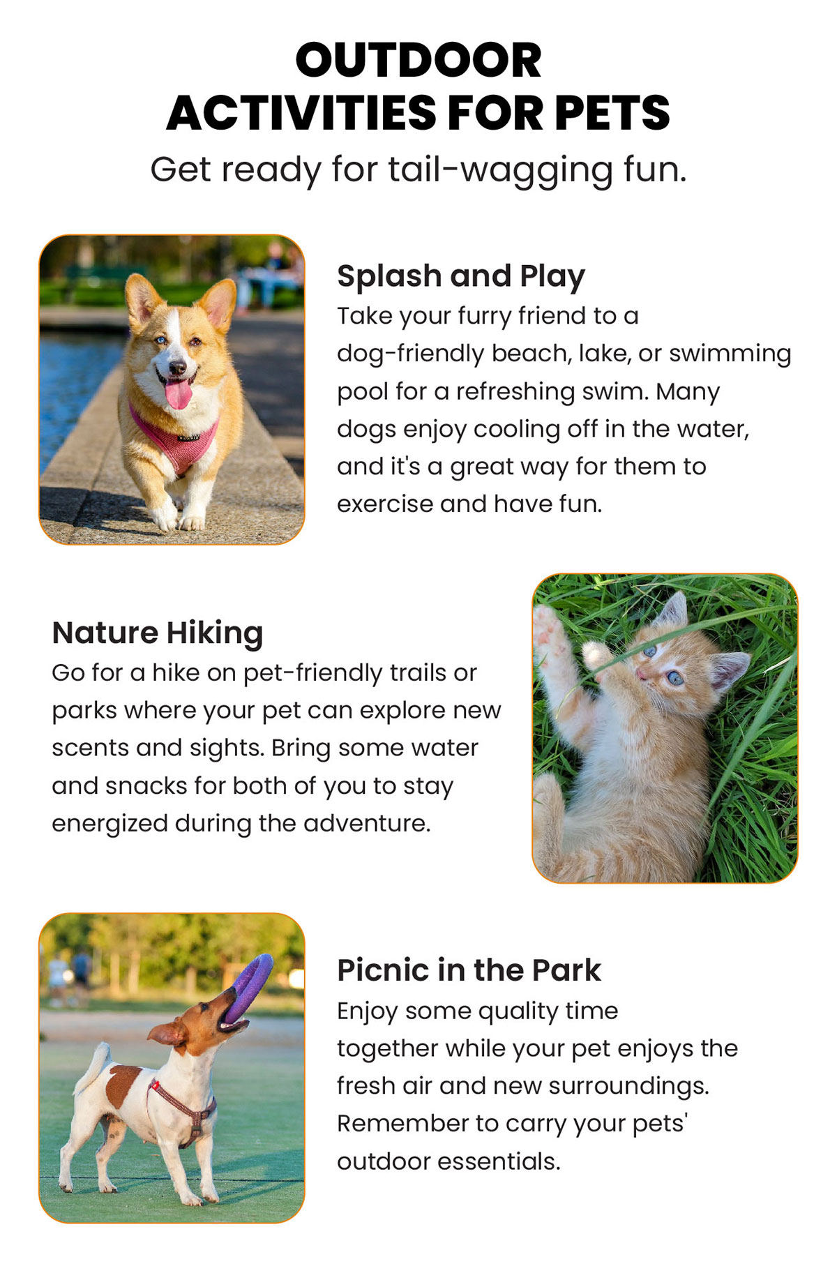 Outdoor Activities For Pets