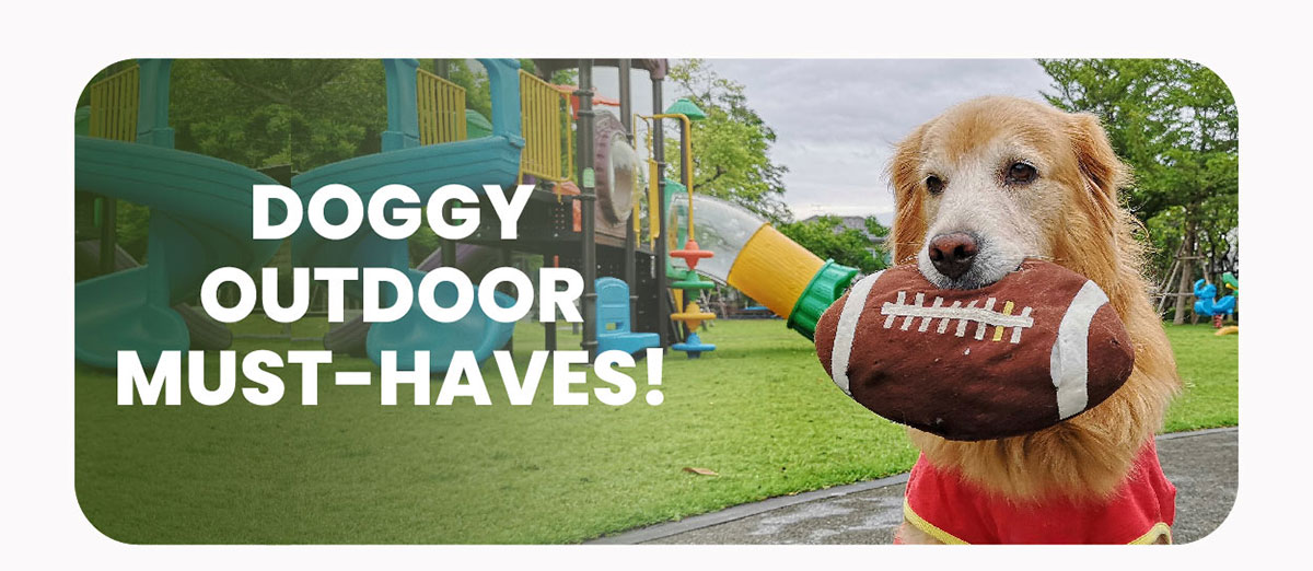 Doggy Outdoor Must-Haves!