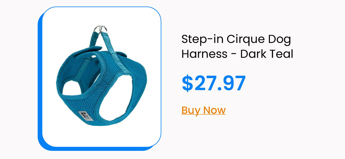 Step-in Cirque Dog Harness - Dark Teal