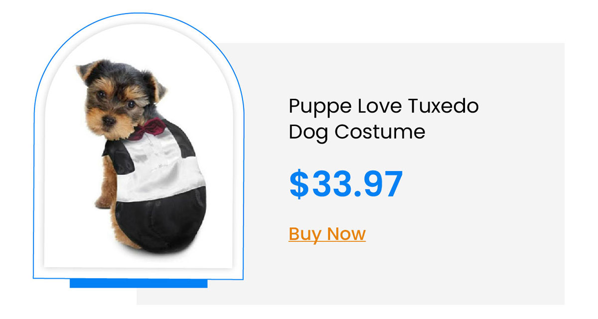 Puppe Love Tuxedo Dog Costume