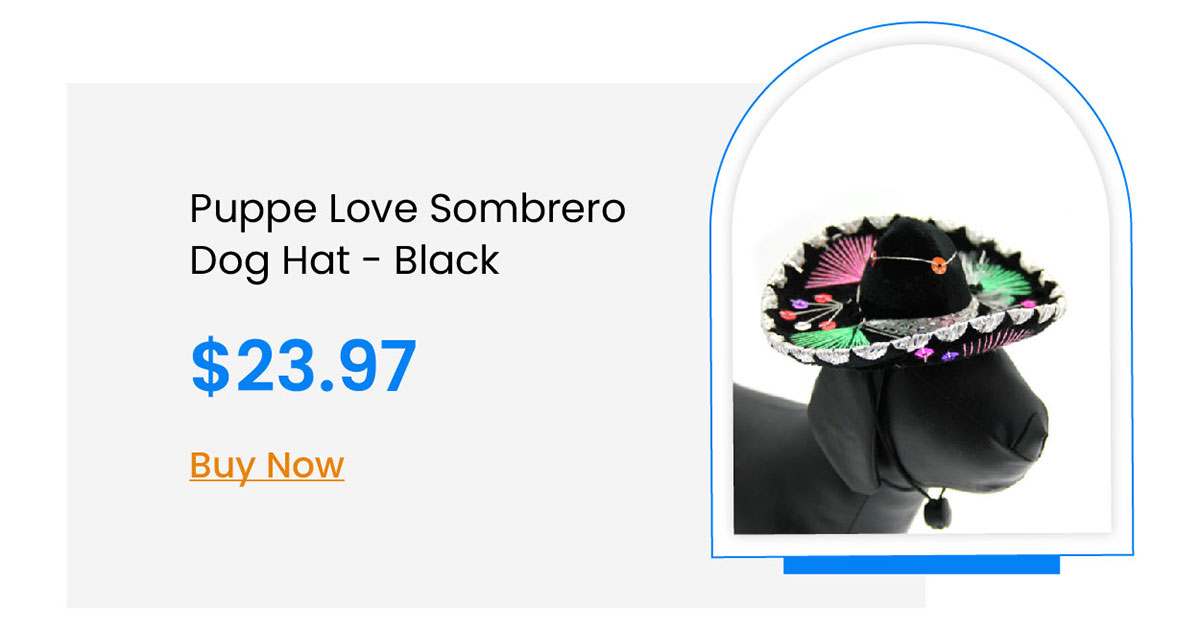 Puppe Love Sombrero Dog Hat - Black