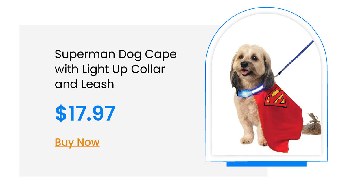 Superman Dog Cape with Light Up Collar