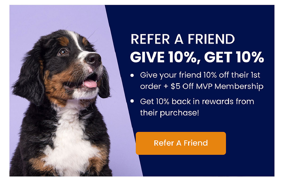 REFER A FRIEND