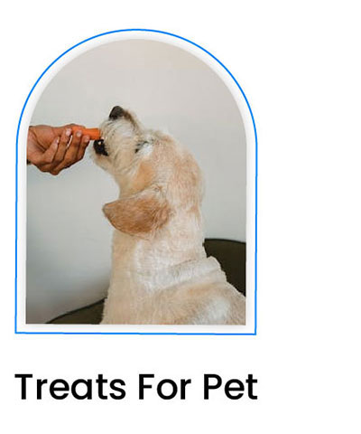 Treats For Pet