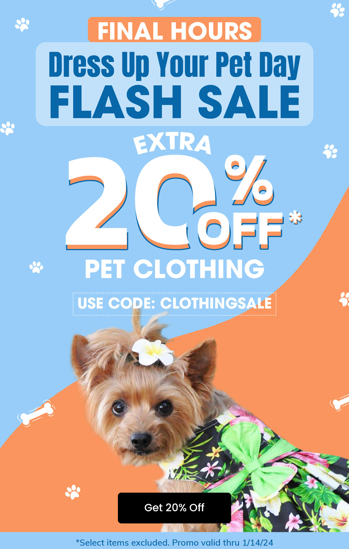 FINAL HOURS Dress Up Your Pet Day