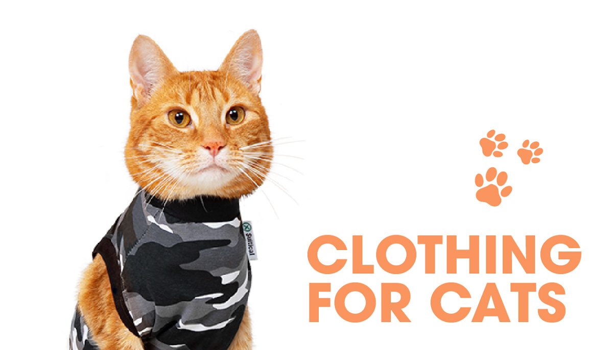 Clothing For Cats