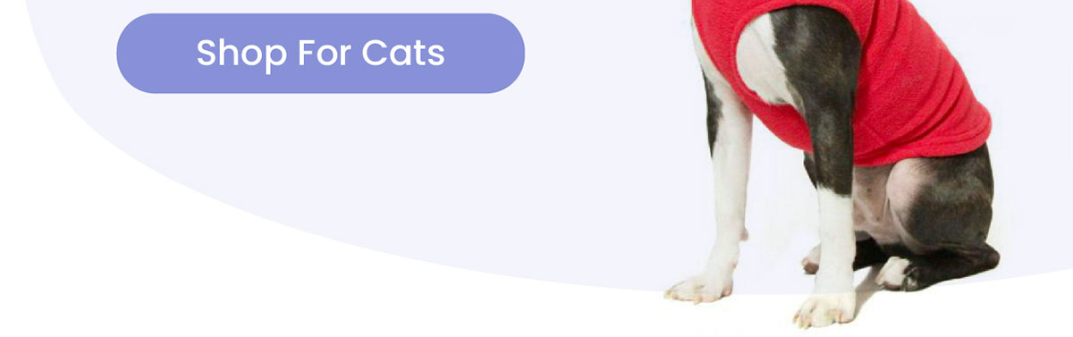 Shop For Cats