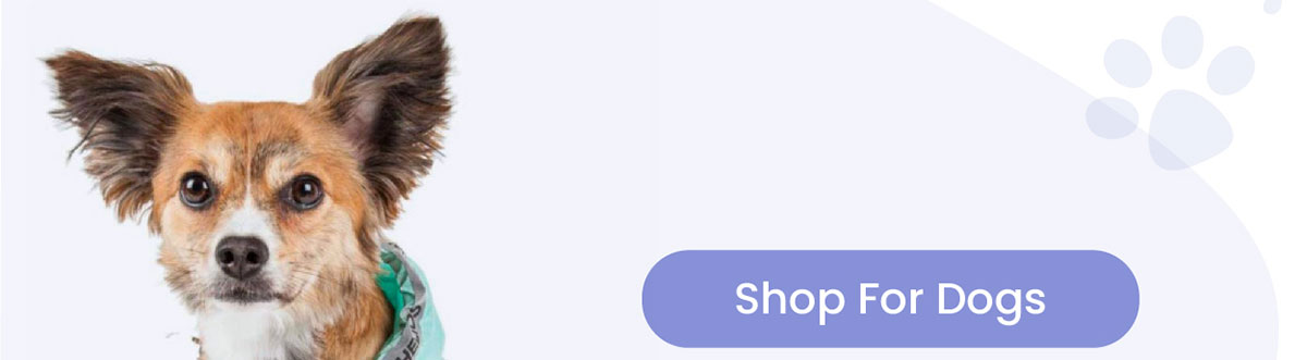 Shop For Dogs