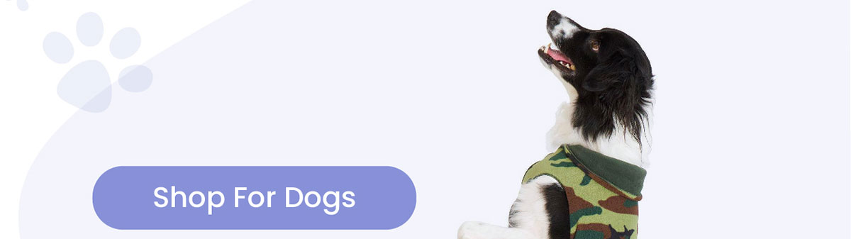 Shop For Dogs