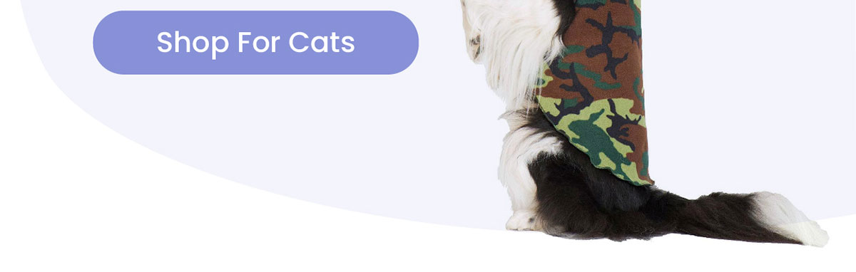 Shop For Cats