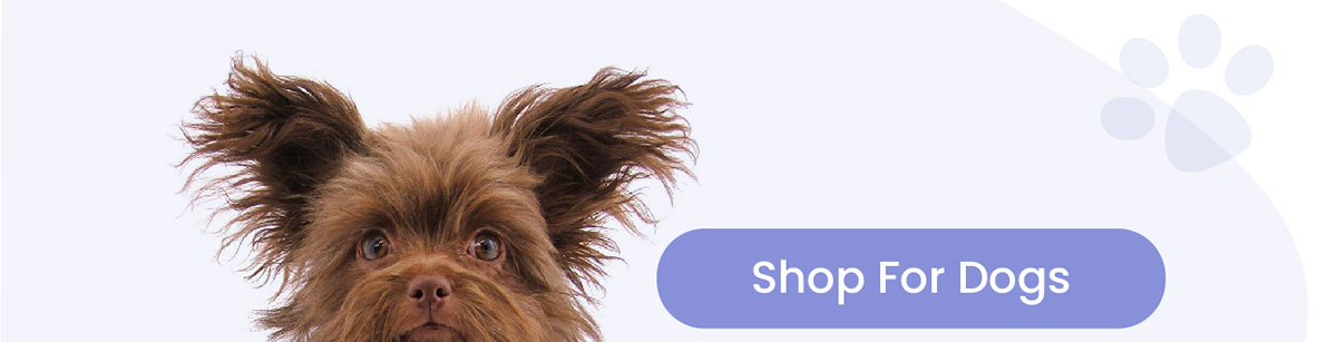 Shop For Dogs