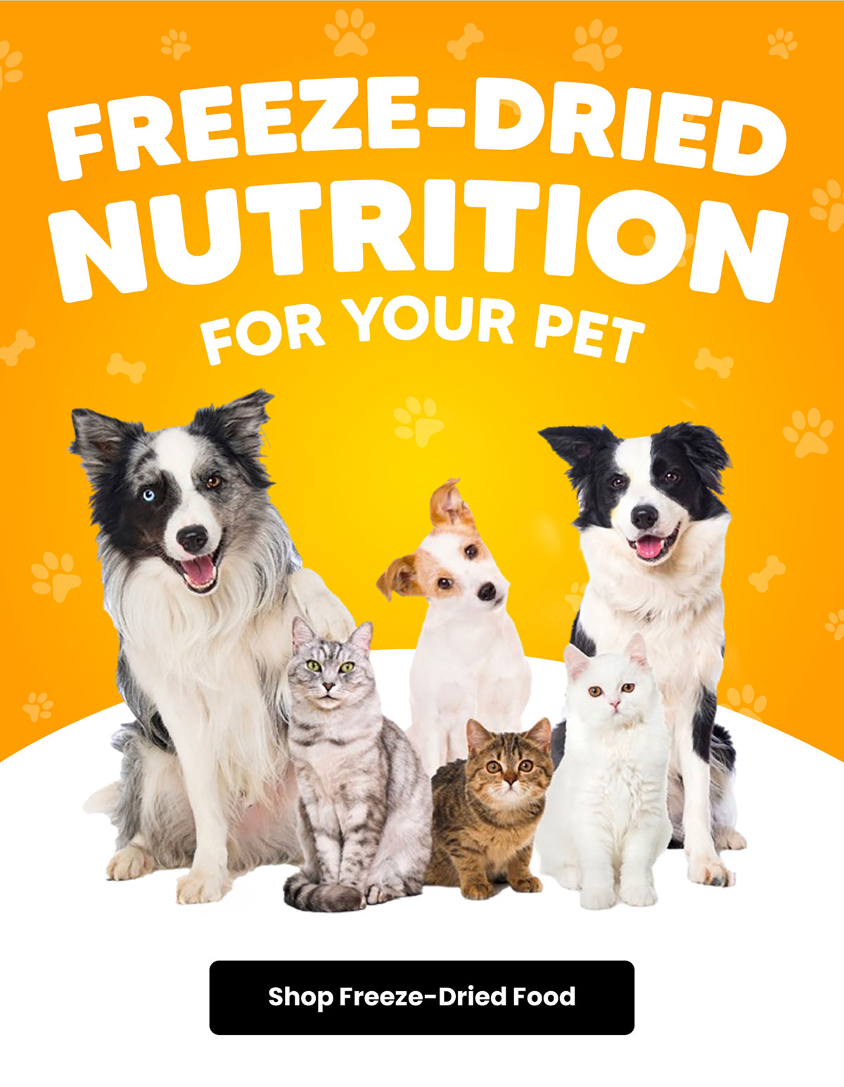 Freeze-Dried Nutrition