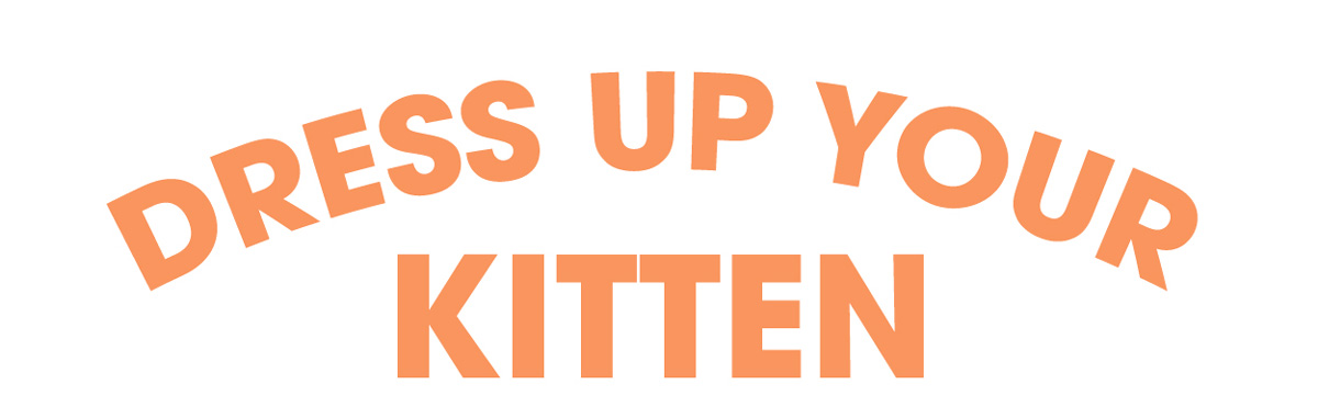 Dress Up Your Kitten