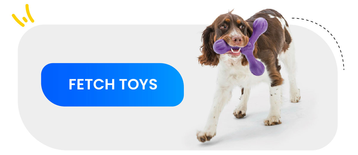 Fetch Toys