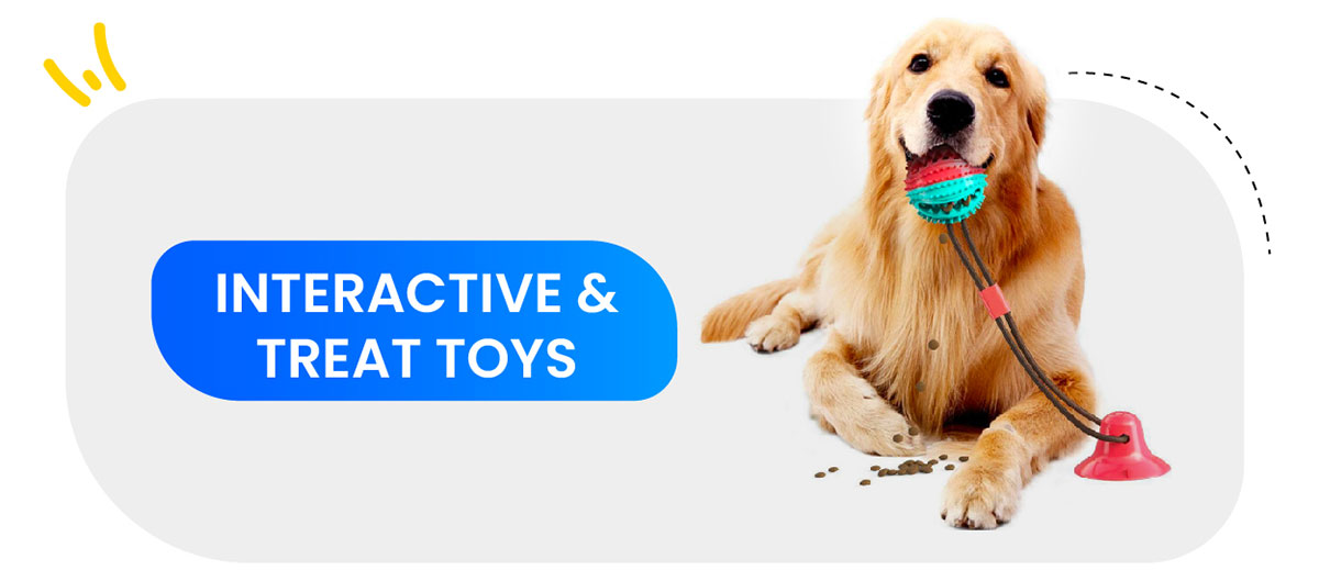 Interactive & Treat Toys