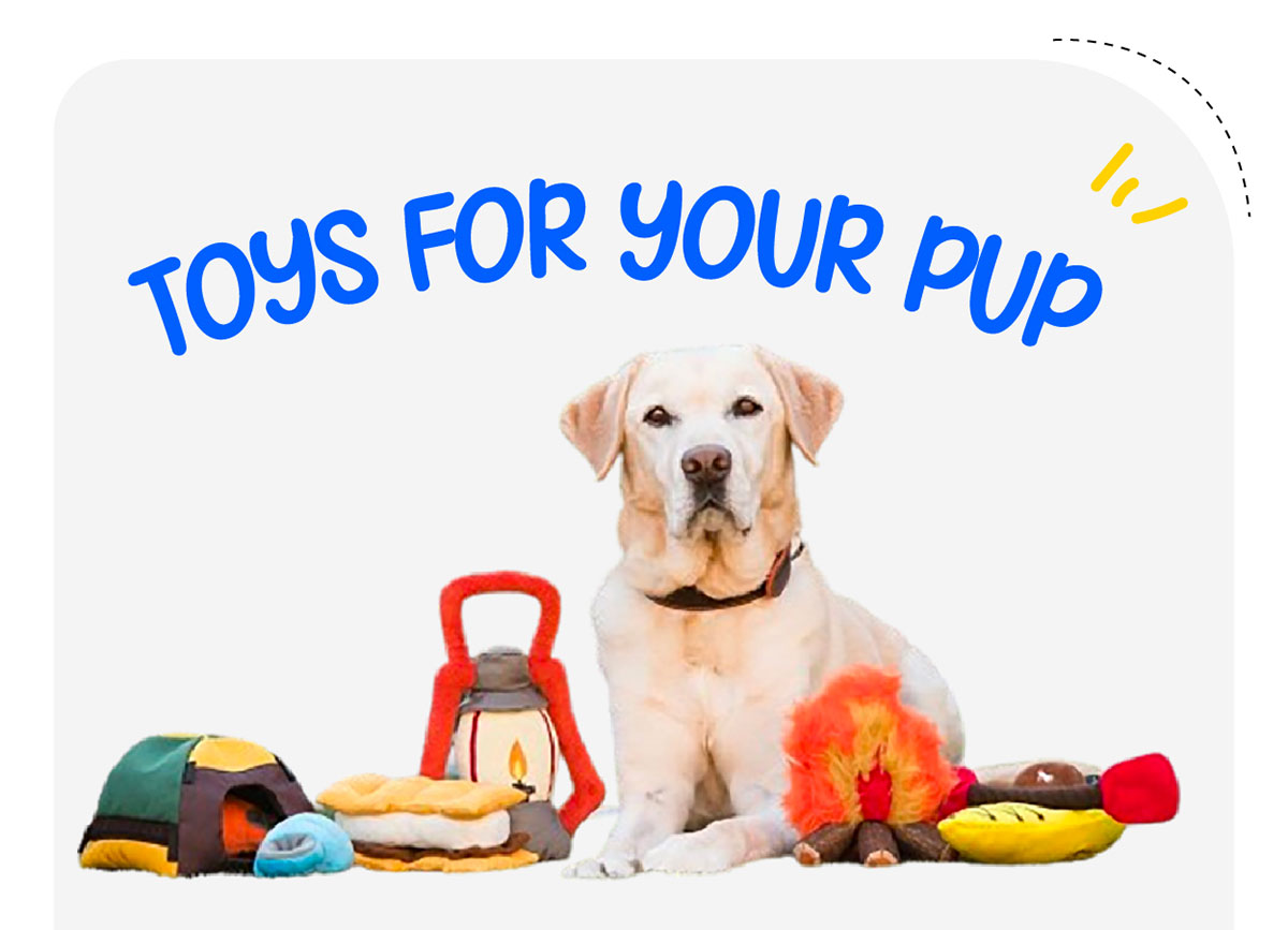 Toys For Your Pup