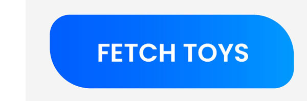 Fetch Toys