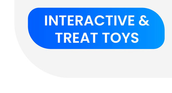 Interactive & Treat Toys