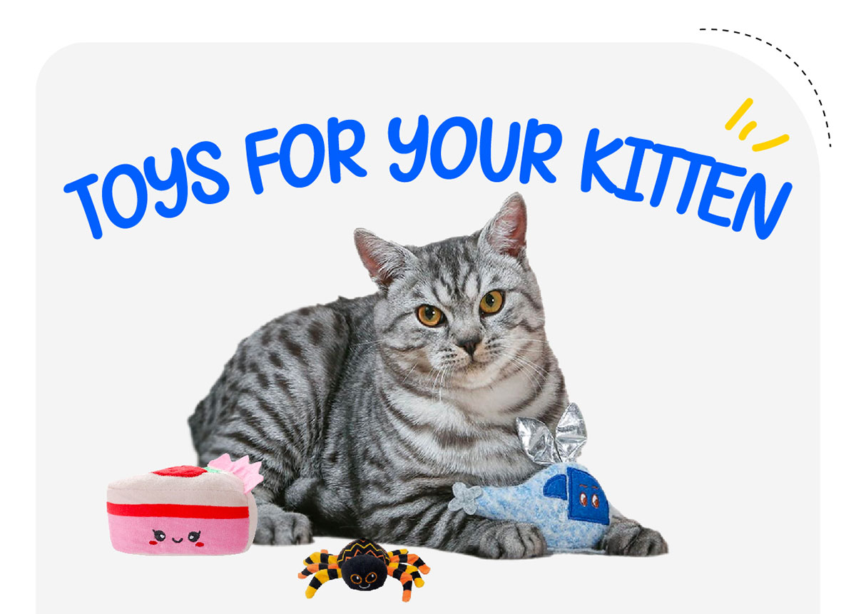 Toys For Your Kitten