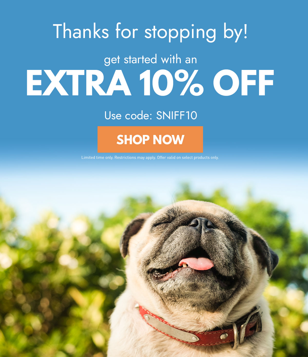 Extra 10% Off!