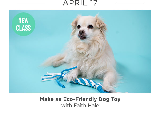 April 17: Make an Eco-Friendly Dog Toy with Faith Hale