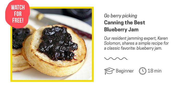 Go berry picking and learn to make jam