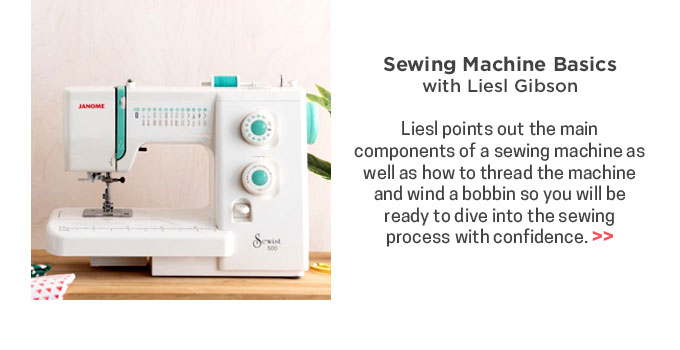 Sewing Machine Basics by Liesl Gibson