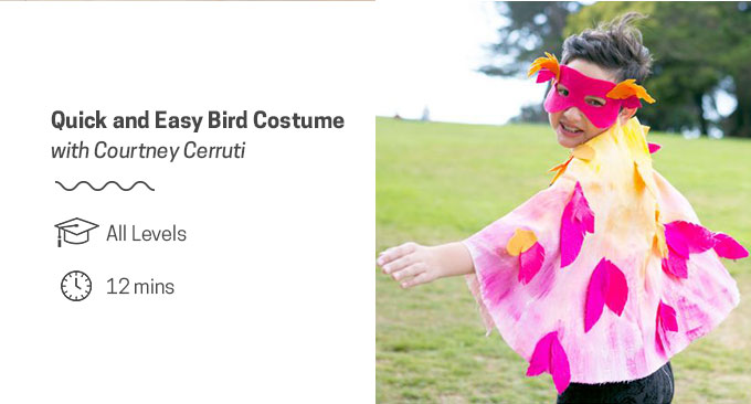 Courtney Cerruti -  Quick and Easy Bird Costume