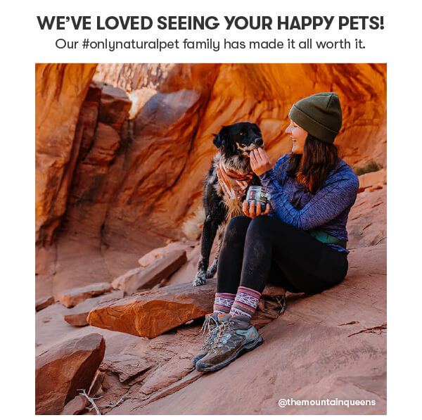 We've Loved Seeing Your Happy Pets!