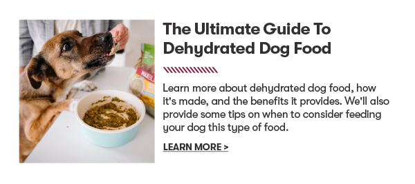 The ultimate guide to dehydrated dog food