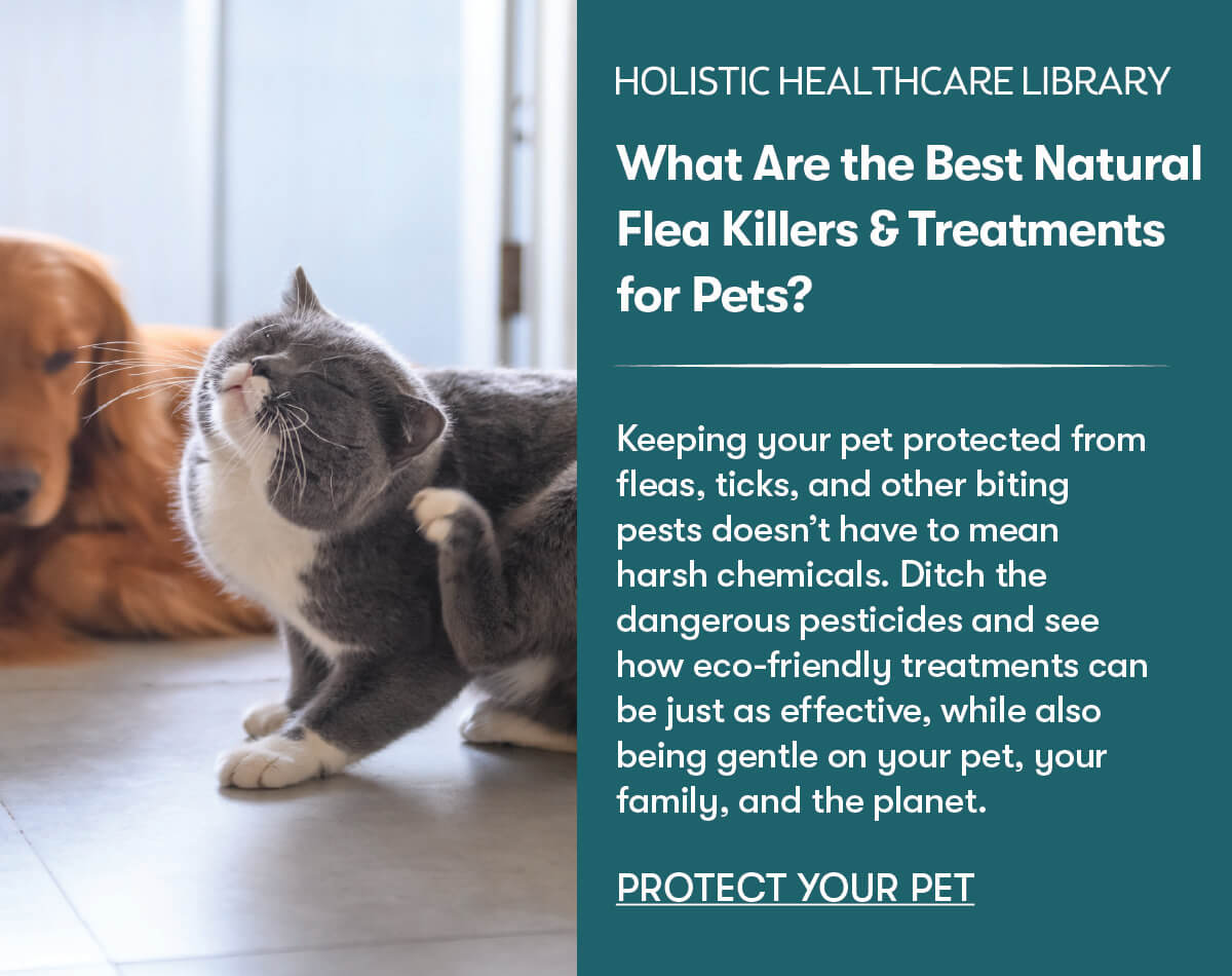 What are the Best Natural Flea Killers & Treatments for Pets?