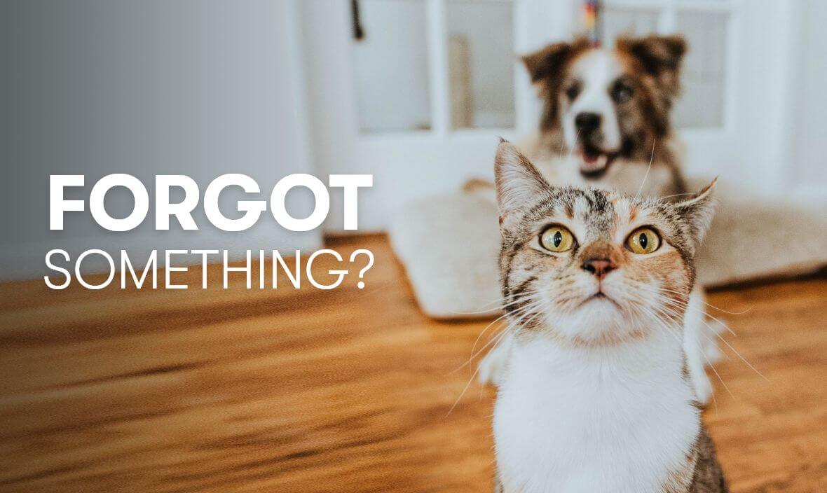 Forgot Something?