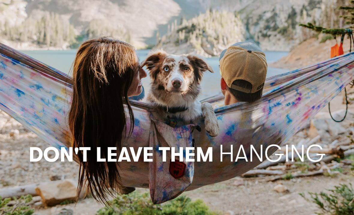 Don't Leave Them Hanging
