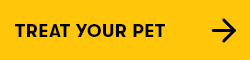 Treat Your Pet