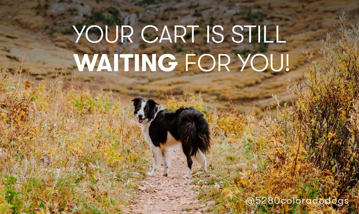 Your Cart Is Still Waiting For You!