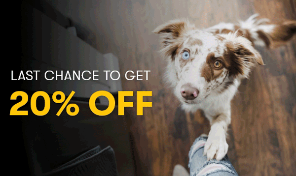 Last Chance To Get 20% Off!